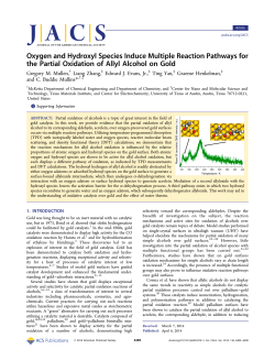 Oxygen and Hydroxyl Species Induce Multiple Reaction Pathways