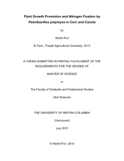 Plant Growth Promotion and Nitrogen Fixation by
