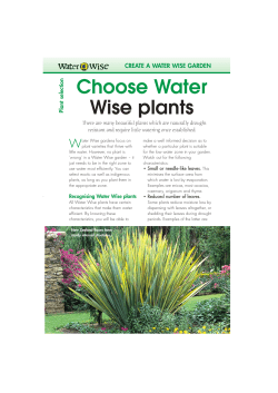 Choose Water Wise plants