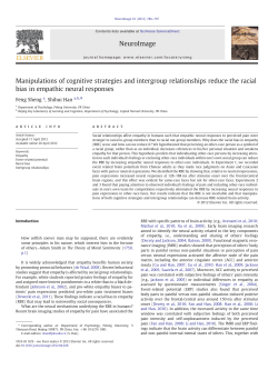 Manipulations of cognitive strategies and intergroup relationships