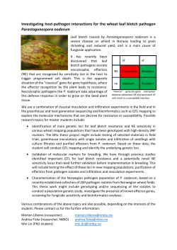 Investigating host-pathogen interactions for the wheat leaf
