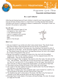 Be a Leaf Collector - Dublin City Council