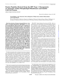 Fusion peptides derived from HIV type 1 Glycoprotein 41 associate