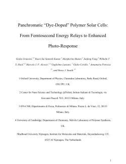 Panchromatic &ldquo;Dye-Doped&rdquo; Polymer Solar Cells: From Femtosecond
