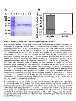 PowerPoint-Pr&auml;sentation