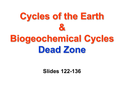 Biogeochemical Cycles