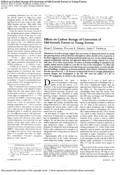 Effects on Carbon Storage of Conversion of Old