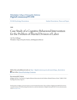 Case Study of a Cognitive Behavioral Intervention for the Problem of