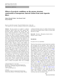 Effects of pyrolysis conditions on the porous structure construction of
