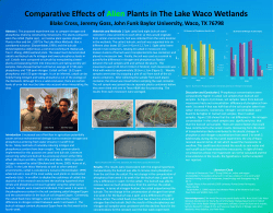 The Comparative Effects of Alien Plants
