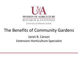 Benefits of Community Gardens