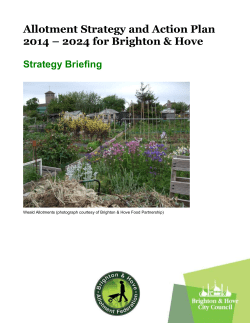 Allotment Strategy Briefing Document 2014