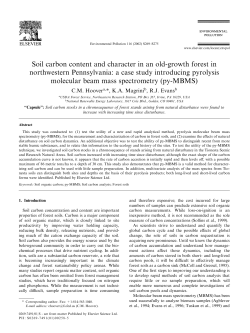 Soil carbon content and character in an old-growth