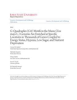 G-Quadruplex (G4) Motifs in the Maize (Zea mays L.) Genome Are