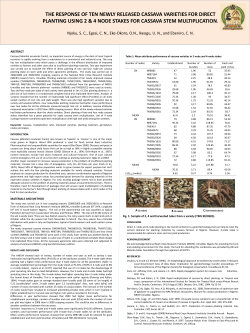 Mean attribute performance of cassava varieties in 2-node
