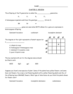 NAME CHAPTER 11 -REVIEW The offspring of the P1 generation is