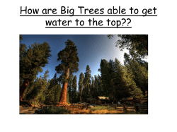 The big picture: *How is water and minerals