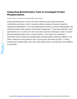 Integrating bioinformatics tools to investigate protein phosphorylation