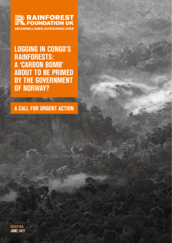 logging in congo`s rainforests: a `carbon bomb` about to be primed