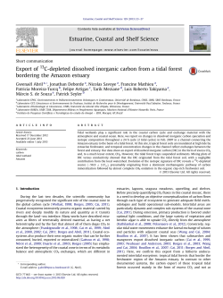 Export of 13C-depleted dissolved inorganic carbon from a