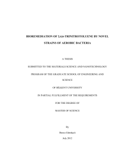 bioremediation of 2,4,6-trinitrotoluene by novel strains of aerobic