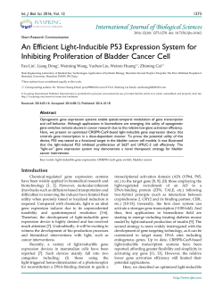 An Efficient Light-Inducible P53 Expression System for Inhibiting