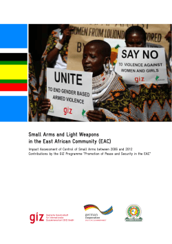 Small Arms and Light Weapons in the East African Community (EAC)