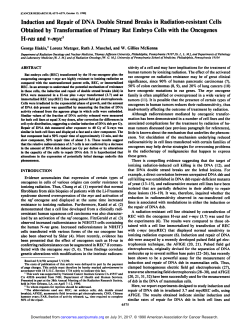Induction and Repair of DNA Double Strand Breaks in Radiation