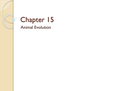 Chapter 15 - Monroe County Schools