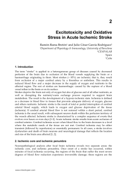 Excitotoxicity and Oxidative Stress in Acute Ischemic