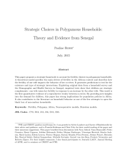 Strategic Choices in Polygamous Households: Theory and