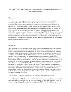 Effects of GABA and CsCl on the Passive Membrane Properties of