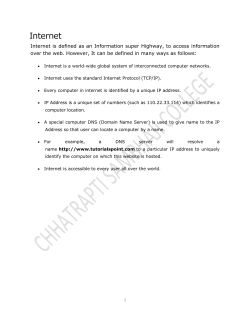 Internet Protocol (IP)