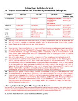 Biology Study Guide Benchmark 2