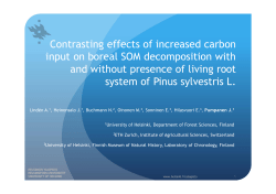 Contrasting effects of increased carbon input on boreal SOM