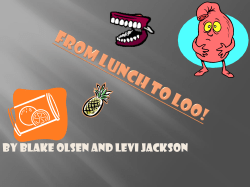 From lunch to loo! - Baradine Central School