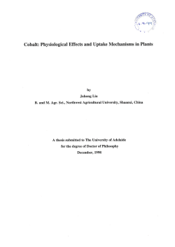 Cobalt : Physiological Effects And Uptake Mechanisms In Plants