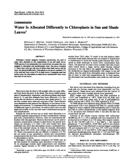 Leaves - Plant Physiology