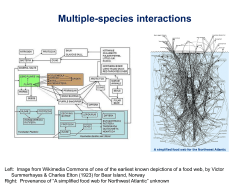 Multiple-species interactions