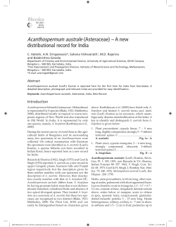 Q020-Rheedea6-111101_CH-09_Acanthospermum_Page 32