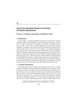 Use of the Fibroblast Model in the Study of Cellular