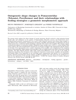 Ontogenetic shape changes in Pomacentridae
