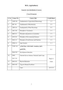 theory - Google Sites