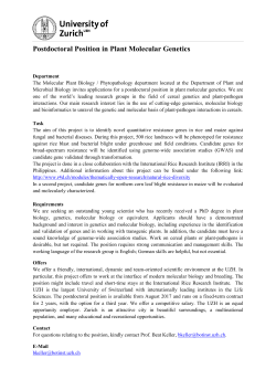 Postdoctoral Position in Plant Molecular Genetics