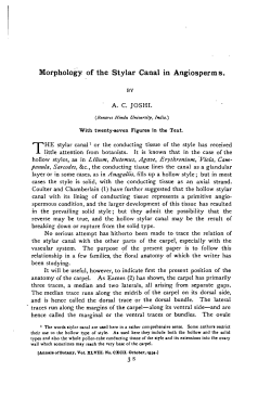 Morphology of the Stylar Canal in Angiosperms.