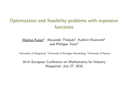 Optimization and feasibility problems with expensive functions