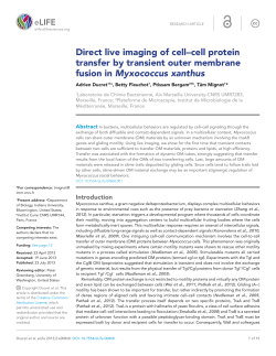 Direct live imaging of cell&ndash;cell protein transfer by transient outer