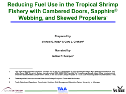 Comparing the Efficiency of Different Trawl Doors and Webbing A