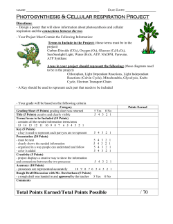 Photosynthesis and Cellular Respiration Poster Project