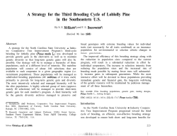 A Strategy for the Third Breeding Cycle of Loblolly Pine